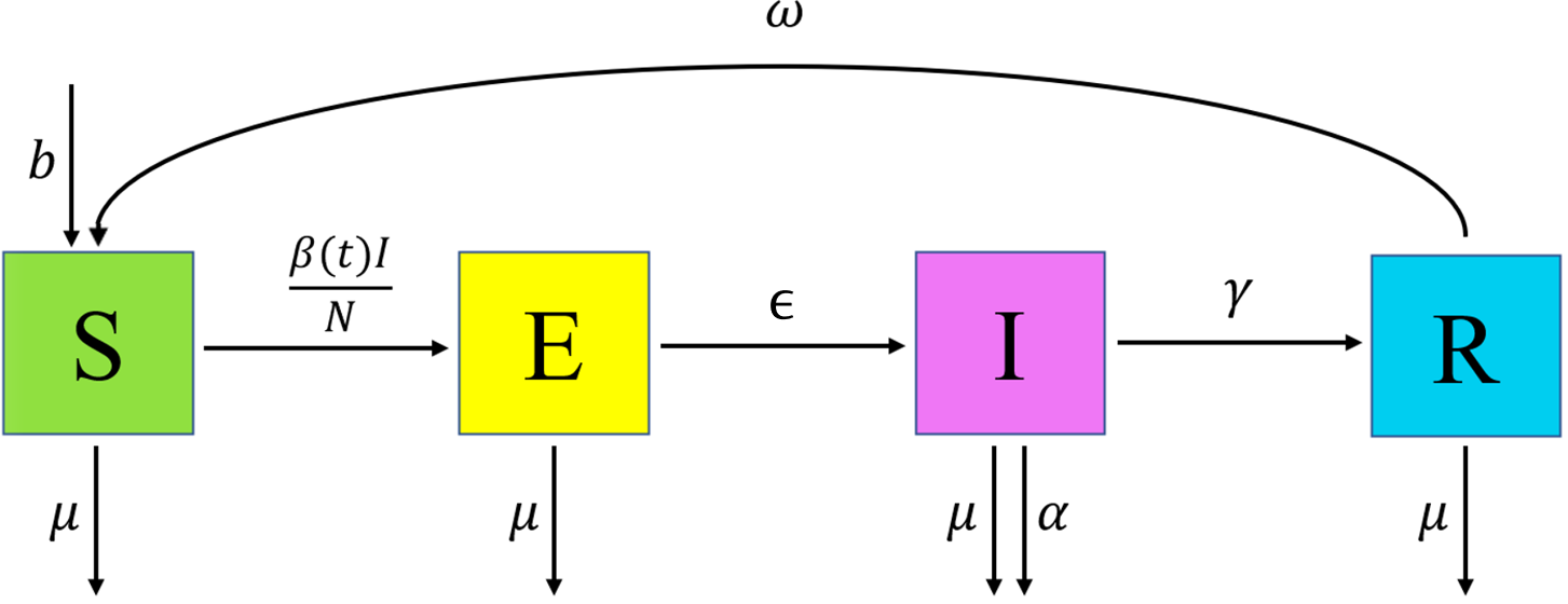 SEIRS Diagram